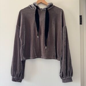 Zara Cropped Velvet Hoodie
